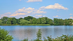 2016-06-21--05954.JPG