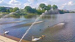 20160622_175002.jpg
