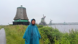 20160627_114447_001.jpg