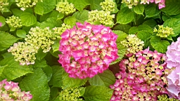 20160627_120631.jpg