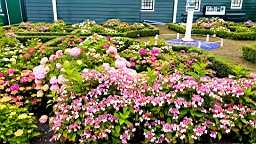 20160627_122654.jpg
