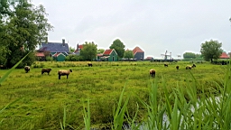 20160627_123949.jpg