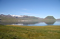 IMG_1137.JPG