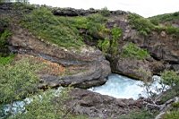IMG_1173.JPG