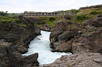 IMG_1174.JPG